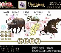 Binatangnya Punya Gelar Togel